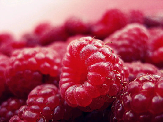 Fondants de cire français - parfumée Framboise