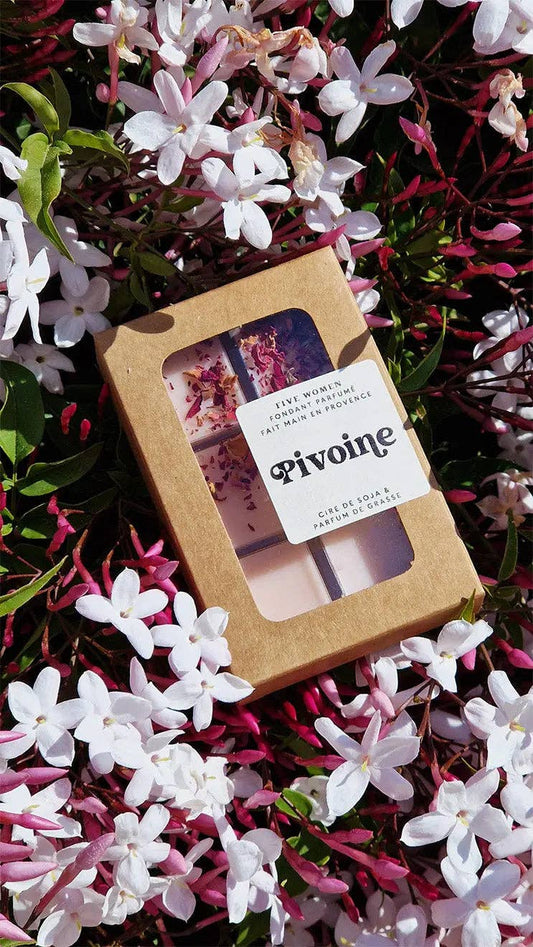 Fondants parfumés français - senteur Pivoine