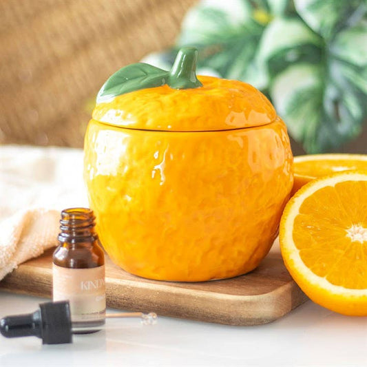 Diffuseur pour parfum d'intérieur
