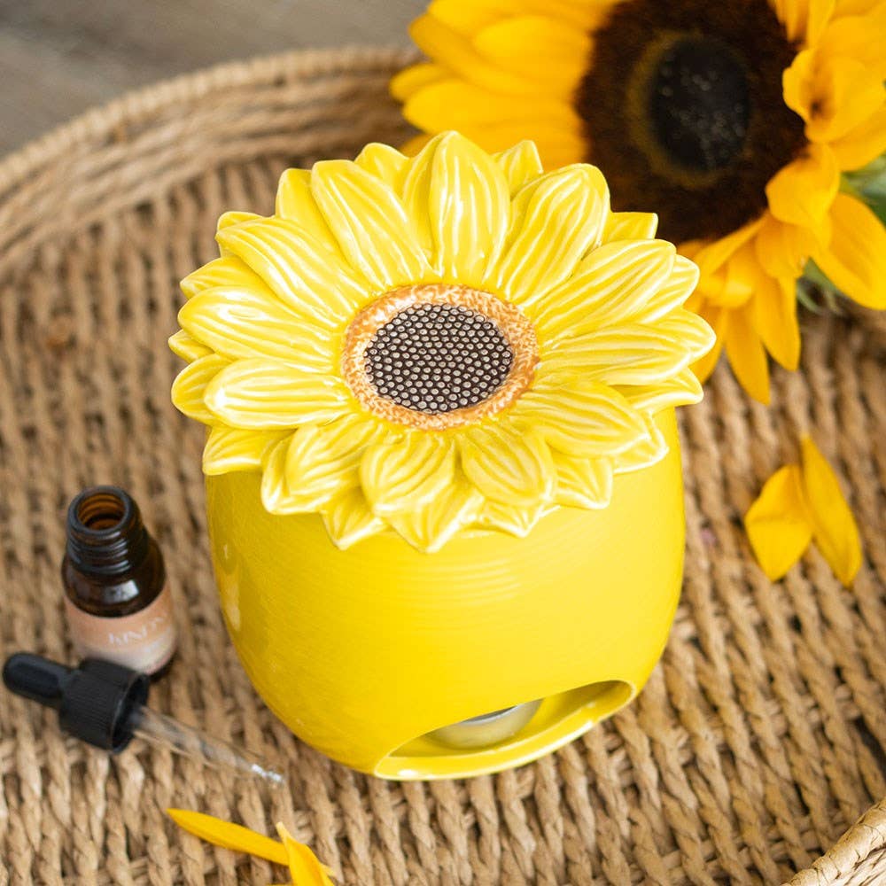 Diffuseur pour parfum d'intérieur