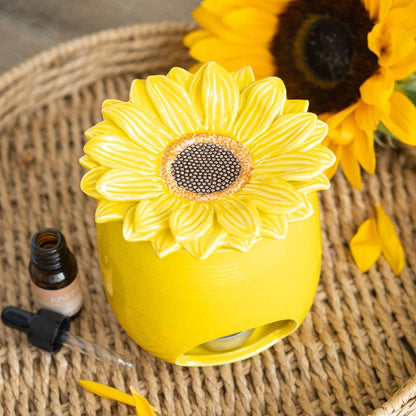 Diffuseur pour parfum d'intérieur